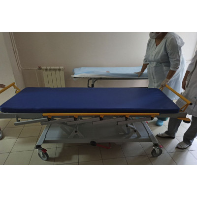 Тележка медицинская для перевозки больных WSTECH TC-12 Тележка медицинская для перевозки больных WSTECH TC-12