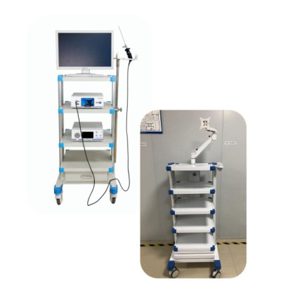 Эндоскопическая видеокамера ЛОРАН HD1 Эндоскопическая видеокамера ЛОРАН HD1