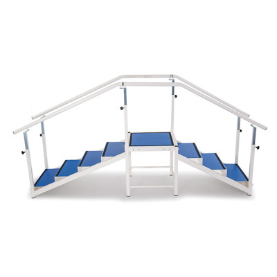 Ступеньки реабилитационные двойные Fisiotech (1312030) Ступеньки реабилитационные двойные Fisiotech (1312030)