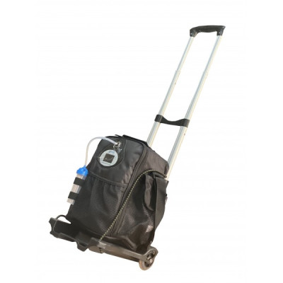 Переносной кислородный концентратор LG-102 Переносной кислородный концентратор LG-102