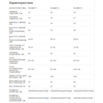 Специальная кресло-коляска инвалидная RACER (размер 1) Специальная кресло-коляска инвалидная RACER (размер 1)