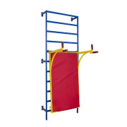 Стенка шведская специализированная для колясочников детей и взрослых СШМ-01