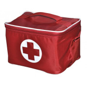 Сумка-холодильник медицинская СХП-01