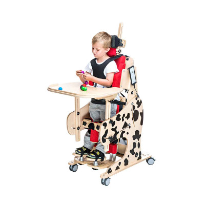 Устройство реабилитационное ДАЛМАТИН ИНВЕНТО DMp-003 (вертикализатор) Устройство реабилитационное ДАЛМАТИН ИНВЕНТО DMp-003 (вертикализатор)